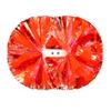 2pcs/set Sports Cheerleading Pom Poms Game Cheering Flower Ball Match Vocal Dance Party Club Decorator Come On Props