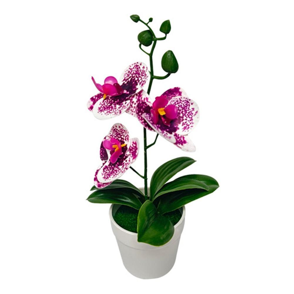 Fake Flower Plant Phalaenopsis Bonsai Easy To Style