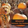 Halloween Reversible Pet Scarf