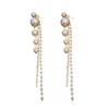 Pearl Tassel Earrings New Popular High-end Design Sense Light Luxury Temperament Earrings Stud Earrings Women's Spring