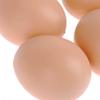 5pcs Chicken Laying Plastic Fake Brood-Eggs For-Poultry Hens For Broody Chooks