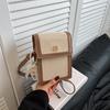 Summer High-end Texture Versatile Fashion Small Bag Women's New Contrasting Color Trend Messenger Bag Mobile Phone Bag
