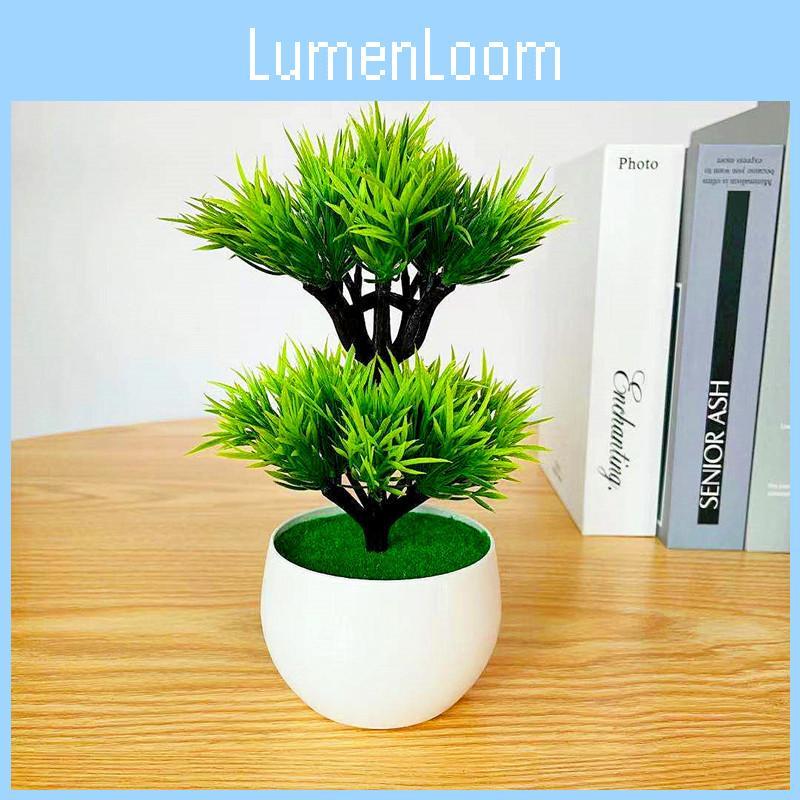 Plastic Artificial Green Plant With Double Layer Feathery Foliage For Home Decor And Office Display