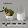 Transparent Self-Watering Hydroponic Planter