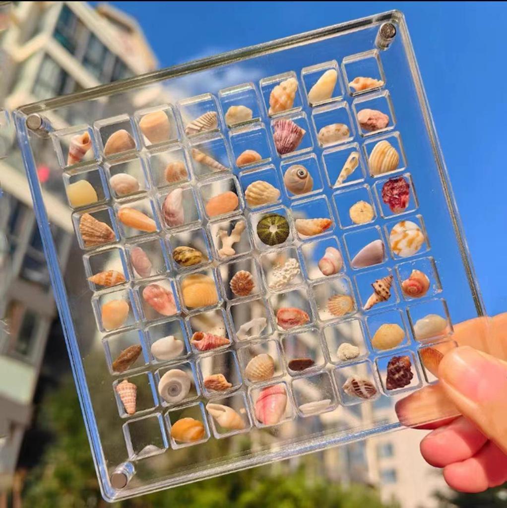 Quadratische Muschel-Vitrine aus Acryl für Miniatur-Steinproben