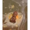 Sabai Sabai [regeneration Mind And Body Relief Set] Buddha Soap 10 Colors  With Beads 