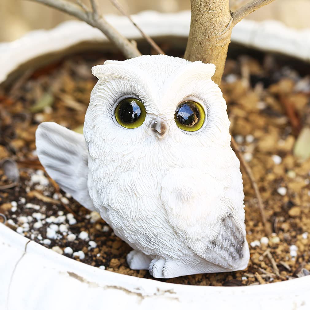 Mo03 Owl Resin Perfect Gift for Birthdays Greetings [Devalier] Figurine, Owl, (Owl Lol)