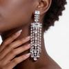 Silver Needle High-End Fashion Tassel Earrings – Elegant European & American Style with Niche Design Sense.