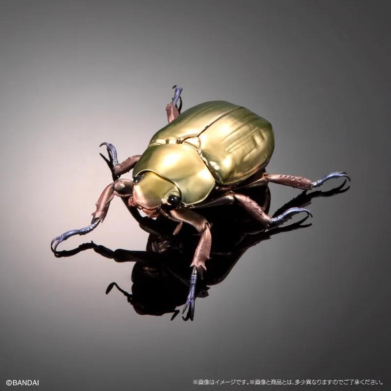 Original Twisted Egg Biological Encyclopedia Scarab Beetles Simulation Model Ornaments Action Figure Toys 5cm to 7cm