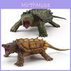 Simulated Amphibious Reptile Freshwater Turtle Crocodile Turtle Model Ornament