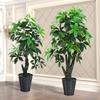 Large Potted Money Tree: Artificial Bonsai for Indoor Decoration
