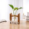 Wood & Glass Hydroponic Bottle - Simple Modern Home Decor