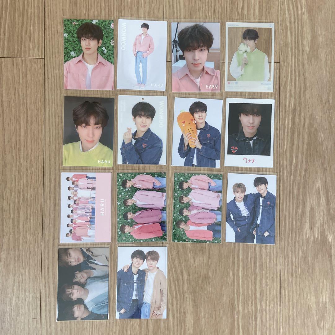 

[USED] HARUWONWOO Wonwoo
