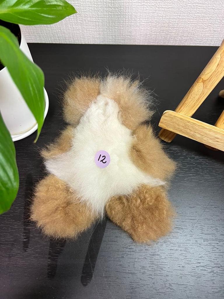 [USED] Alpaca Teddy Bear, 100% Baby Alpaca, Small