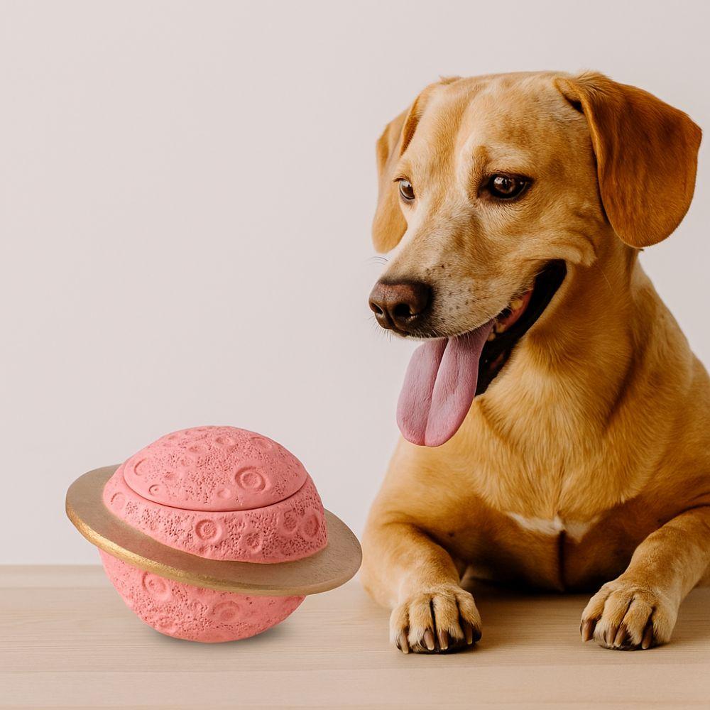Moisture-Proof Pet Urn Removable Lid Pet Ash Holder Pet Hair Collection Box  for Cats Dogs Hamster