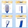 Oripurus Wide Head Soft Bristle Toothbrush 4-Pack