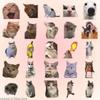 101Pcs Cat Meme Pet Stickers Waterproof Translucent Funny For Stationery Cute Stickers Scrapbooking Material Craft Supplies