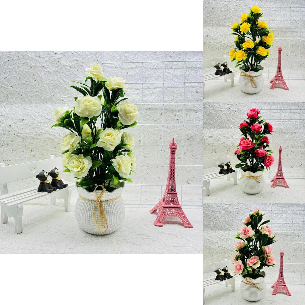 Camelia Thunb Sasanqua Plantă la ghiveci Pentru Decor Interior Și Utilizare Cadou