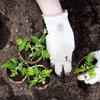 Anzuchttöpfe mit Drainagelöchern Umweltfreundlich Biologisch abbaubar Gartenpflanzen Baumschule Topf Blumen Gemüse Setzlinge Schalen