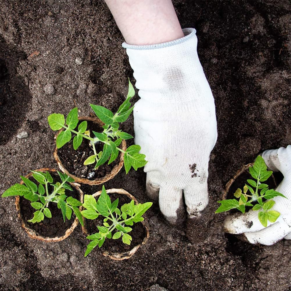 Anzuchttöpfe mit Drainagelöchern Umweltfreundlich Biologisch abbaubar Gartenpflanzen Baumschule Topf Blumen Gemüse Setzlinge Schalen