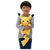 Pocket Monsters Pokemon Plush Toy Hug Pikachu Me!