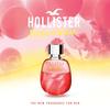 Hollister - Eau de Parfum Festival Vibes für Sie 100 ml -