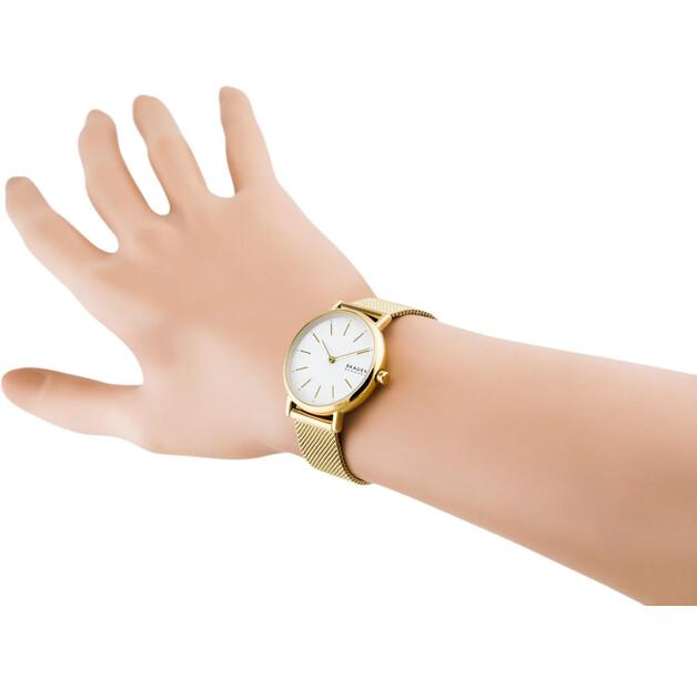 Skagen Classic Watch SKW2693