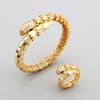 2025 Gold-plated Zircon Snake Bracelet Bare Body Diamond Spring Snake Scale Snake Bone Women's Hand Jewelry