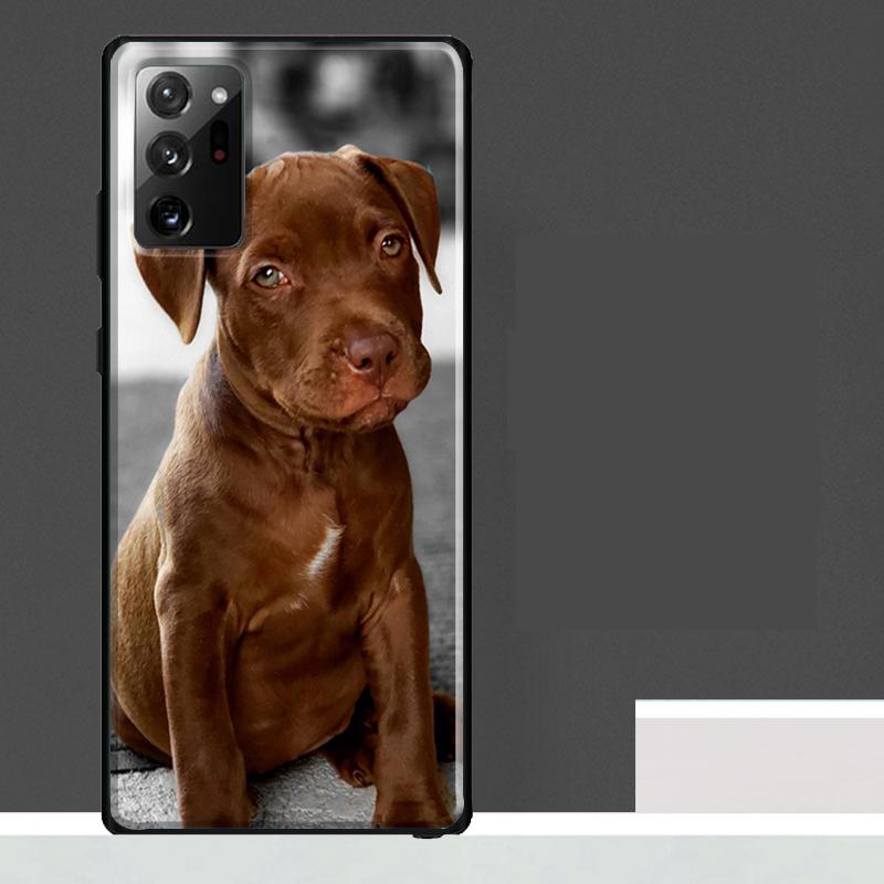 Cute Pit Bull Dog Pitbull Case For Samsung Galaxy S24 Ultra S23 S22 S21 S25 Ultra S9 S10 S20 Plus S25 FE Phone Cover