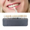 3D Dental Lab Bleaching Shade Guide 16/29 Colors Teeth Whiten Comparing Tooth Dentistry Clinic Colorimetric Plate