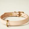 We Original All Leather Collar Natural GOOD MANNERS DOG SERIES - (S) /