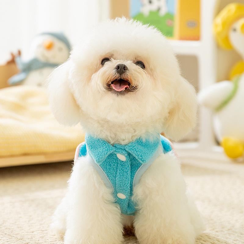 Autumn and Winter Dog Transformation Small Dog Teddy Bigbear Two-legged Warm Flannel Cat Can Trace Pet Clothes