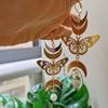 Bohemian Gold & Silver Moon Butterfly Hypoallergenic Earrings