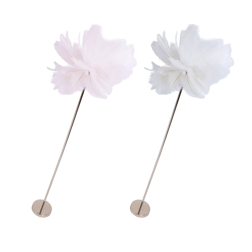 Ostrich Plume Floor Lamp Iron Art 61 Inch LED USB Stepless Dimmable Modern Decorative Standing Lamp 