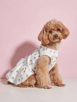 Kleding en schoenen – Jurken voor honden