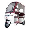 Guardian Electric Tricycle Van with Canopy, Double Row Seats, Mobility Scooter for Elderly Dual-Use