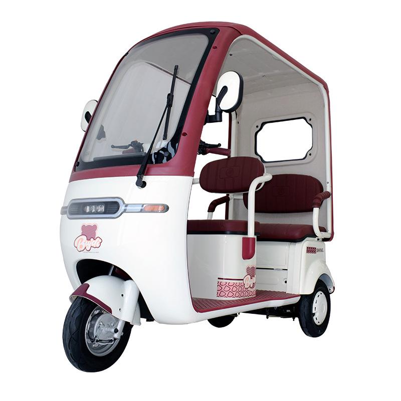 Guardian Electric Tricycle Van with Canopy, Double Row Seats, Mobility Scooter for Elderly Dual-Use
