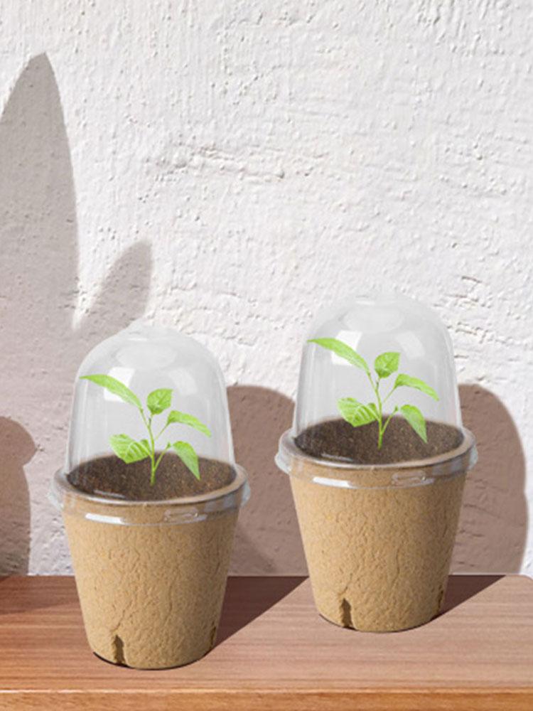 10Pcs Seedling Cup Seed Starter Transparent Lid Cultivation Pot Biodegradable Plant Growing Cup Versatile Gardening Supplies