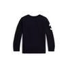 Polo Ralph Lauren Boys 2 7 Years Crewneck Sweater Polo Bear