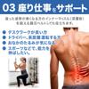 Lumbar Support Pelvic Support Waist Support Pelvic Lumbar Pelvic Correction Support Standing Desk Lower Back Good Posture Training Belt, Belt, Belt,