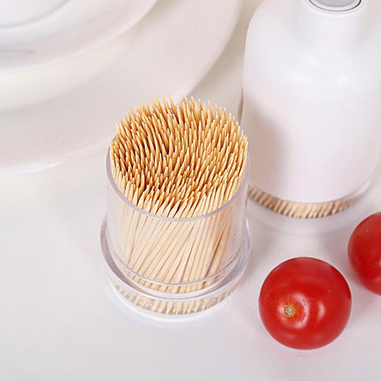 1 Set Toothpick Dispenser Creative Shape Wide Application Compact Size Useful Portable Holder Box with Lid for Home