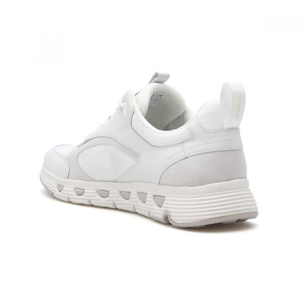 Geox Women S Comfort SneakerS White Ecub 4 8gxxua4f9S