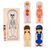 Children's Early Education Characters Body Organ Structure Cognitive Puzzle Brain Multi-Layer Development Wooden Toys