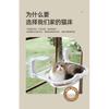 Minimalist Modern Cat Hammock Space Capsule Sunshine Warming Cat Hammock Transparent Pet Products Amaca Per Gatti XY40MDC