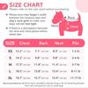 Autumn Winter Dog Clothes for Small Medium Dogs Girls,Fleece Lined Dog Hoodies Sweater Puppy Sweatshirt Chihuahua Yorkie Apparel
