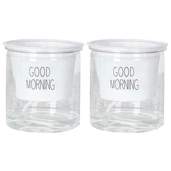 2 Sets Double Tier Hydroponic Epipremnum Aureum Self-watering Flowerpot Home Decor