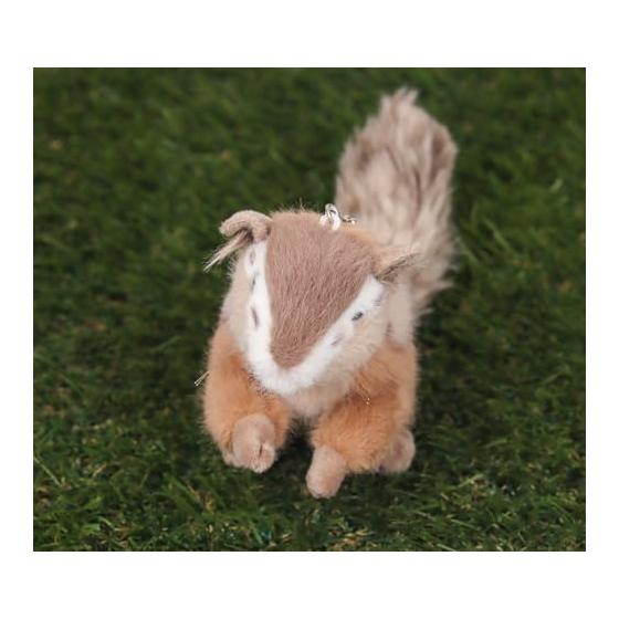 Takeoff Nuigurumi Real More Squirrel S Ball Chain