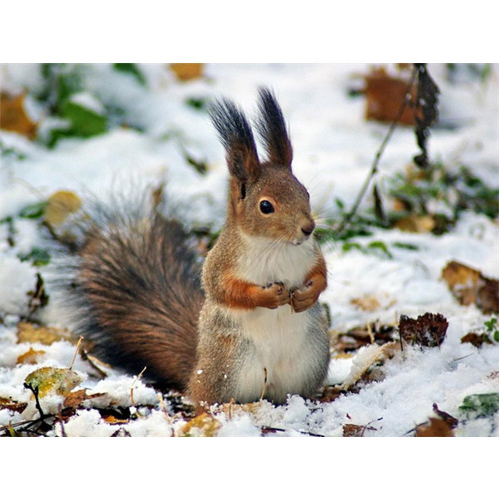 Diamond Painting Squirrel Rhinestone Kit Full Drill Square Diamond Embroidery Animal Mosaci Winter Needlework Wall Art