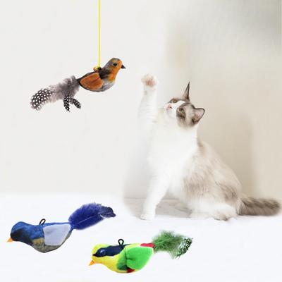 Simuliertes Vokal-ähnliches Vogel-Beißspielzeug für KatzenSelbstunterhaltendes und langweiliges zwitscherndes Vogel-Hängefeder-Katzenspielzeug Haustierspielzeug