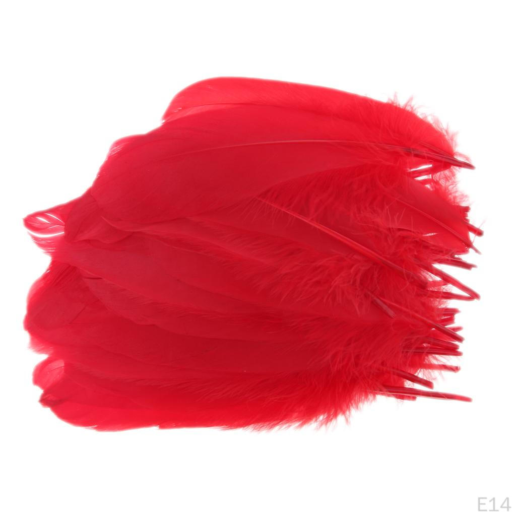 Federn 0,6 Zoll Bastelbedarf für Hochzeitsfeier Dekoration Packung mit 50 Stück